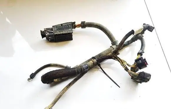 Other wiring loom