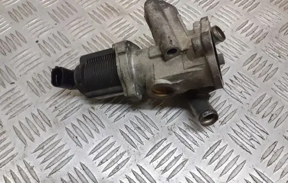 Opel Astra H EGR valve 7.00020.250