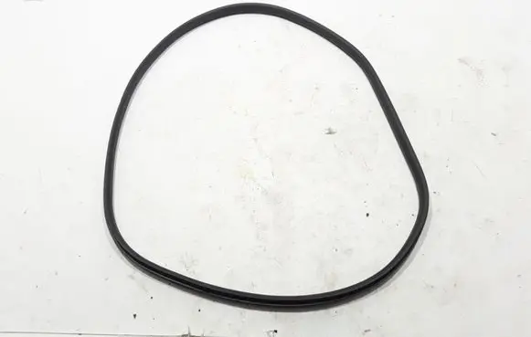 Renault Captur II Rear door rubber seal (on body) 769238549R