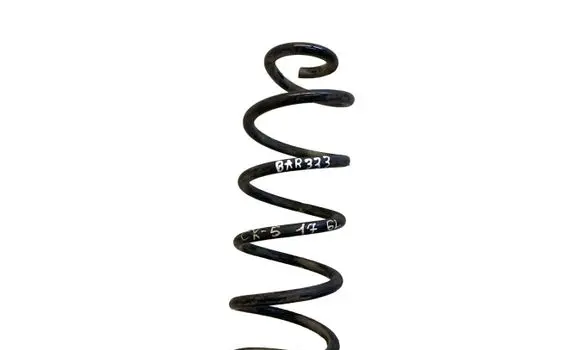 Rear coil spring