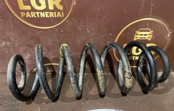 Rear coil spring