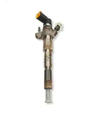 Opel Movano B Fuel injector 166000372R 85FEADEB0