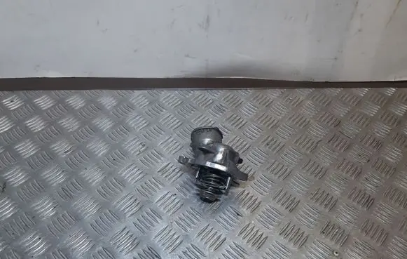 Thermostat/thermostat housing