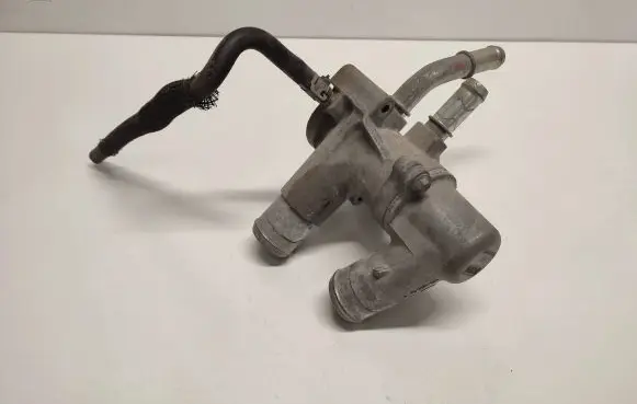 Thermostat/thermostat housing