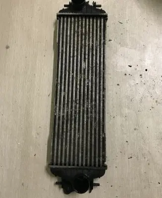 Renault Trafic II (X83) Intercooler radiator