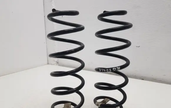 Skoda Scala Rear coil spring 2Q0511121