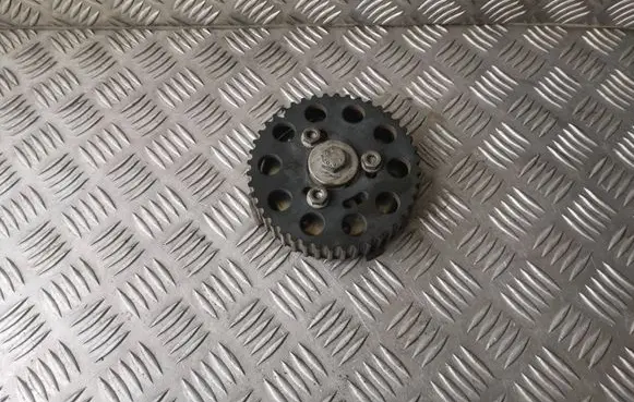 Skoda Octavia Mk2 (1Z) Camshaft pulley/ VANOS 03L109111 03L109239A