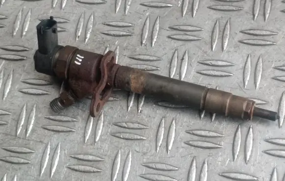 Volvo V70 Fuel injector 0445110251