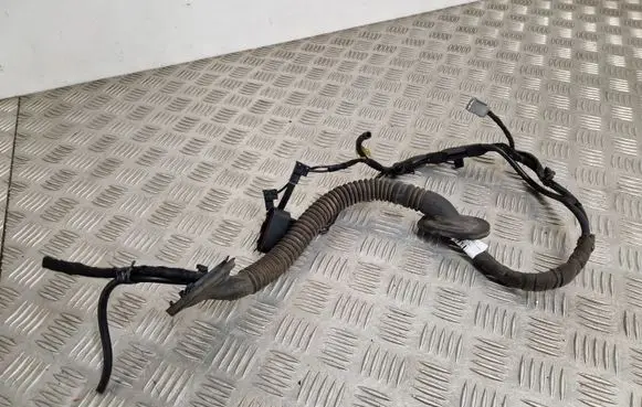 Front door wiring loom