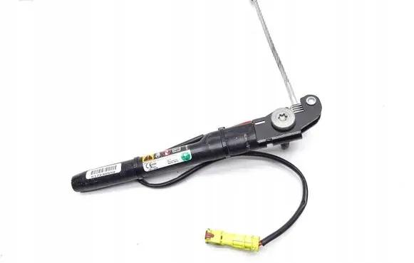 Opel Antara Front seatbelt 20919346