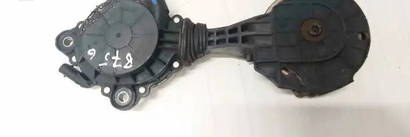 Citroen DS4 Generator/alternator belt tensioner v759883280 095303