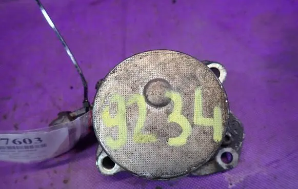 Peugeot 307 Vacuum pump 72266601H