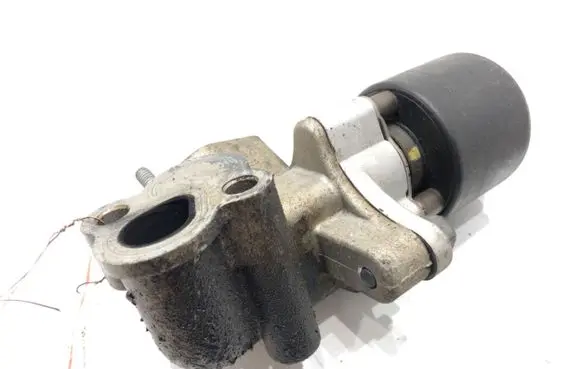 Chevrolet Lacetti EGR valve