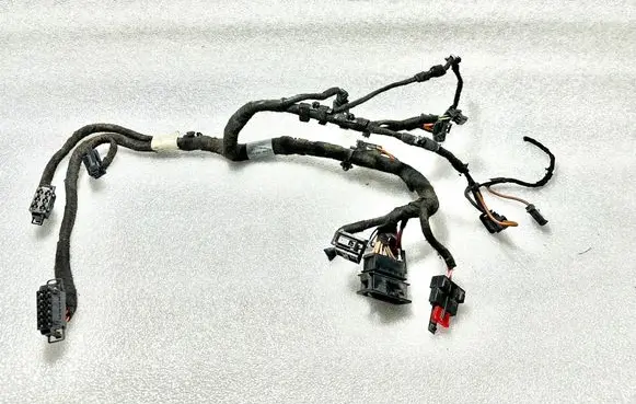 Other wiring loom