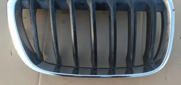 BMW X1 F48 F49 Front bumper upper radiator grill 7354821