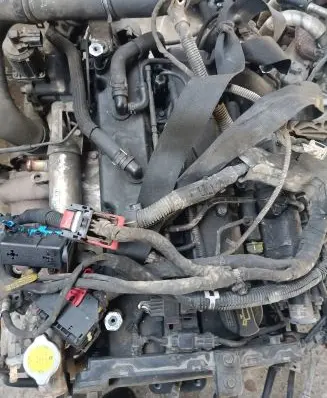 KIA Carnival Engine 144CV