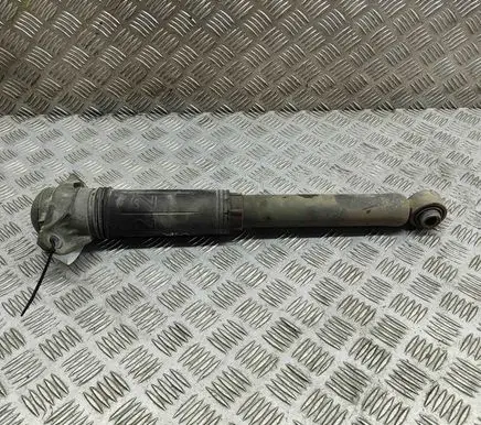 Toyota RAV 4 (XA50) Rear shock absorber/damper 4853080898