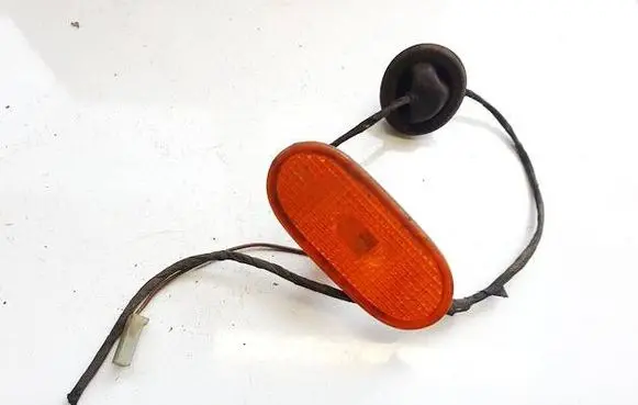 Front fender indicator light
