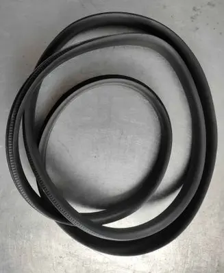 Renault Zoe Front door rubber seal 808326900R