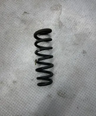 KIA Stinger Rear coil spring 55330J5200