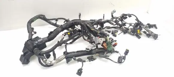 Citroen C6 Engine installation wiring loom 8X209H589