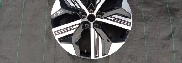 R20 alloy rim