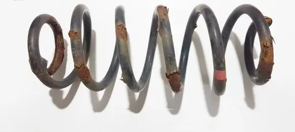 Toyota Urban Cruiser (XP110) Rear coil spring