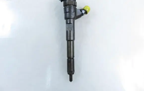 Dacia Dokker Fuel injector 8201108033 0445110485