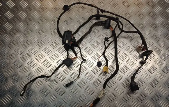 Volkswagen PASSAT B5.5 Front door wiring loom 1J0959382A