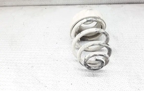 Volkswagen PASSAT B5.5 Rear coil spring