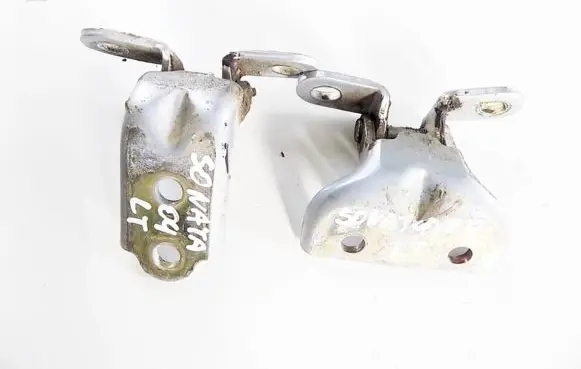 Hyundai Sonata Rear door hinge set 