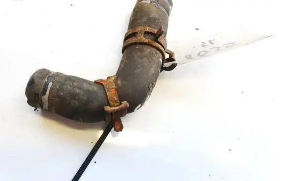 Renault Modus Engine coolant pipe/hose