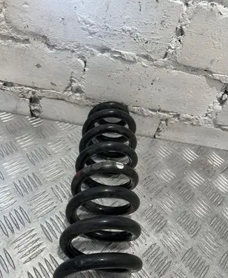 Mercedes-Benz C W205 Rear coil spring