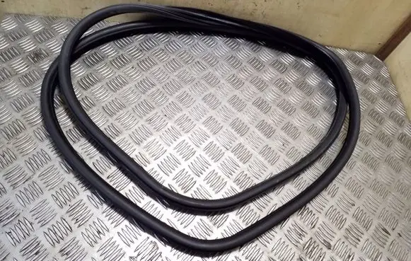 Rear door rubber seal (on body)