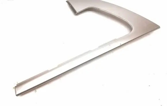 Other rear door trim element