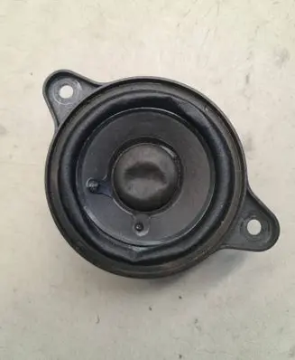 Panel speaker