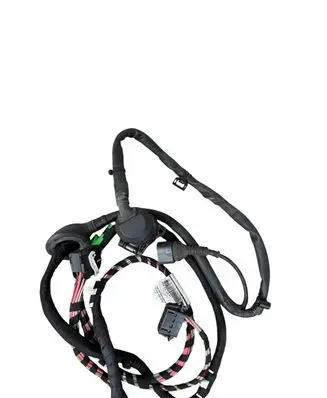 Volkswagen Arteon Wiring harness 3G8971124A