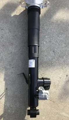 Porsche Cayenne (9Y0 9Y3) Rear shock absorber/damper 9Y0513027F 42400024331 151025