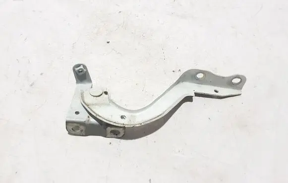 Toyota C-HR I Engine bonnet/hood hinges 53420F4010