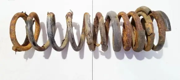 Ford Focus Rear coil spring