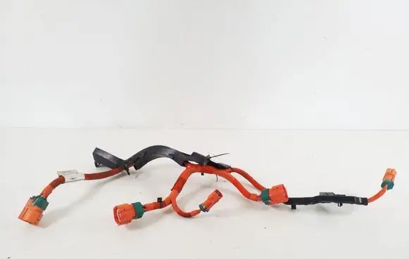 Other wiring loom