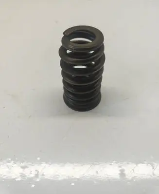 Dodge RAM Valve spring 68080909AB