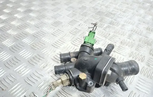 Thermostat/thermostat housing