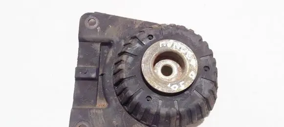 Coil spring mount
