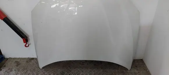 BMW X1 E84 Engine bonnet/hood 