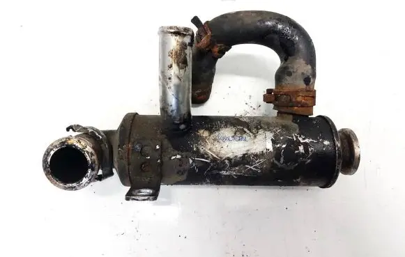 Ford Focus EGR valve cooler
