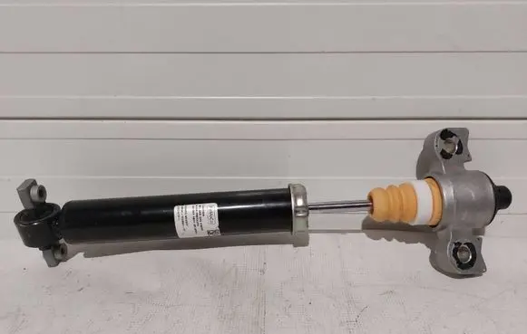 Ford Mustang VII Rear shock absorber/damper PR3C18W002AF