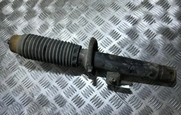 Peugeot 406 Front shock absorber/damper