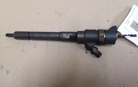 KIA Carens II Fuel injector 0445110258 3380027400