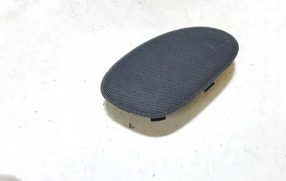 Front door speaker